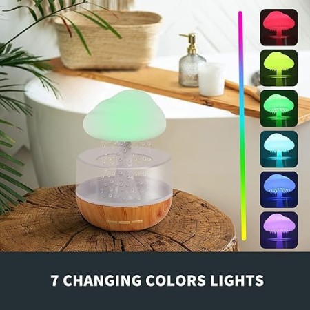 Rechargeable Rain Cloud Humidifier Mushroom Lamp.  (অন করার জন্য ৫ সেকেন্ড মাঝখানের বাটনে চাপ দিন।অন হওয়ার পর মাঝখানের বাটনে একবার চাপ দিন ঝর্ণা অন করার জন্য)